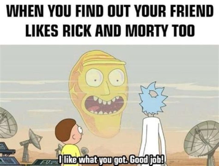 10 Best Rick & Morty Memes Only True Fans Will Understand