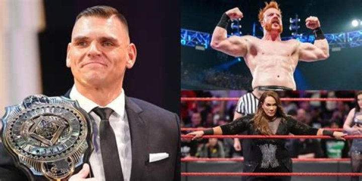 10 Best Storylines In WWE History (That Were Very Violent)