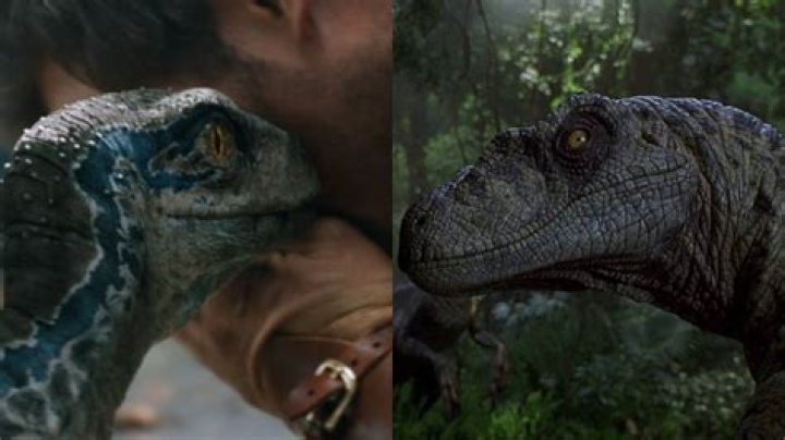 10 Facts About The Velociraptors Only Hardcore Fans Know