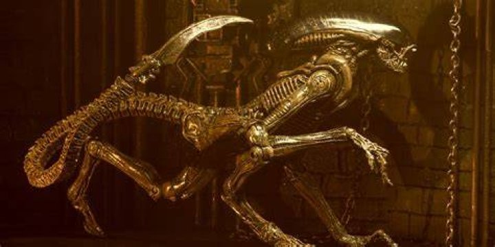 10 Important Things About The Xenomorph Designs That You Missed