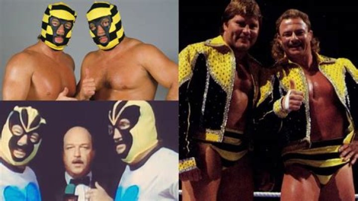 10 Things WWE Fans Should Know About The Classic Tag Team The Killer Bees