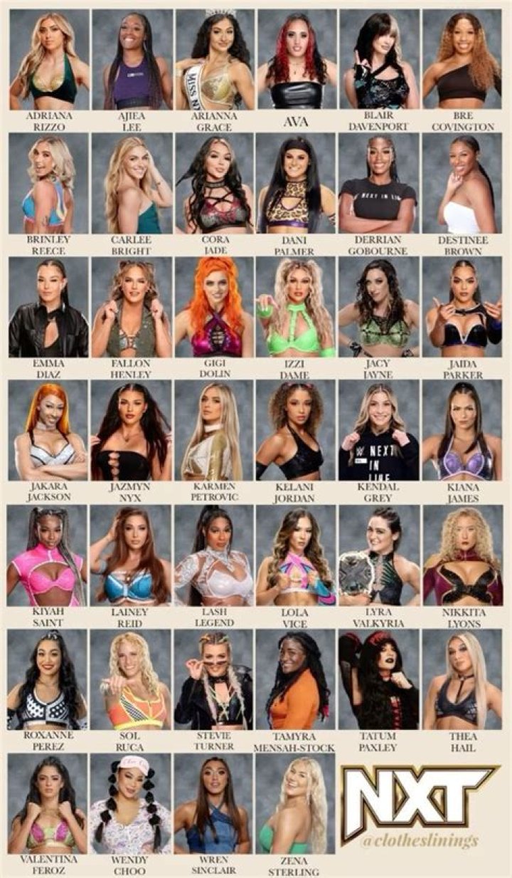 15 Hot Pictures Of NXT Women You NEED To See