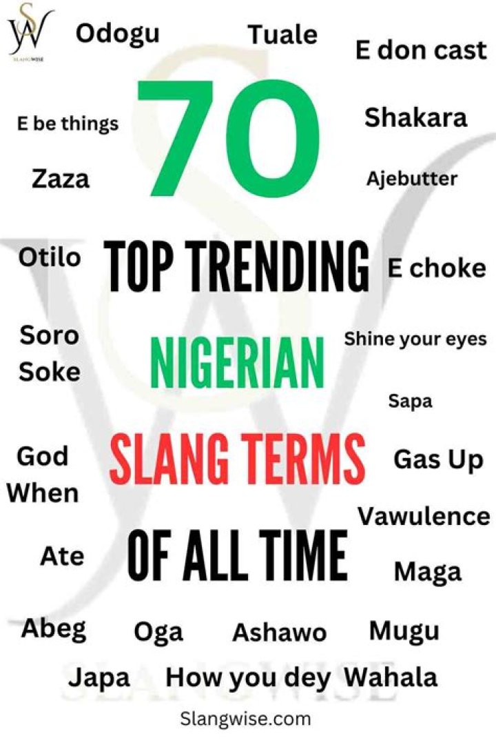 15 popular Nigerian slangs and their meanings Legit.ng