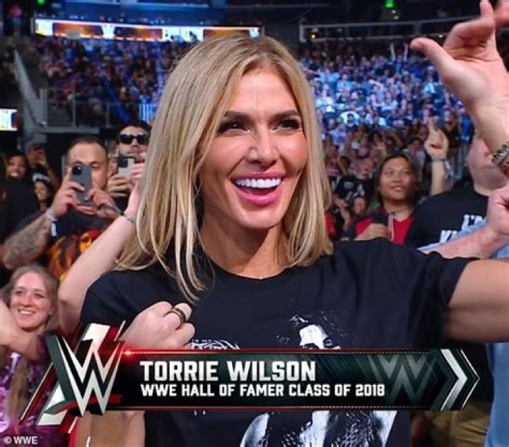 15 Recent Must-See Pictures Of Torrie Wilson