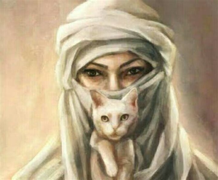 شرح المضارع البسيط