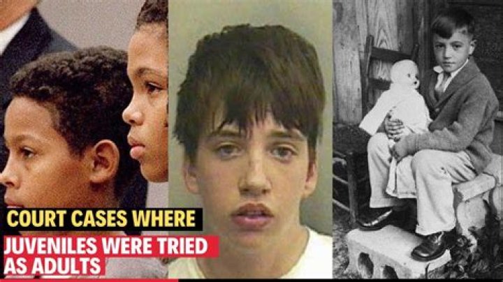 16 Famous Juvenile Court Cases That Were Tried As Adults