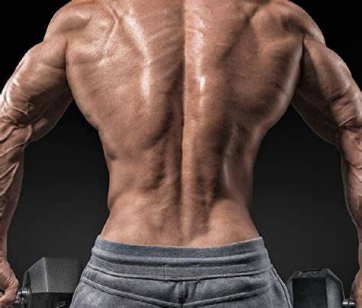 ما هو باك اند back end ما هو باك اند back end
