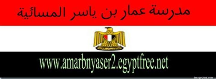 متى تظهر نتائج استخدام زيت الخروع للحواجب متى تظهر نتائج استخدام زيت الخروع للحواجب