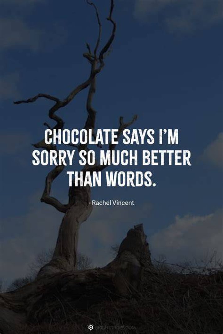 40 melting Im sorry quotes with images 2019 40 melting Im sorry quotes with images 2019