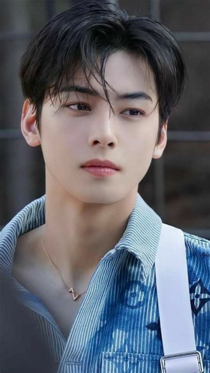 차은우 (cha eunwoo ) Hombres hermosos, Actores lindos, Actores coreanos