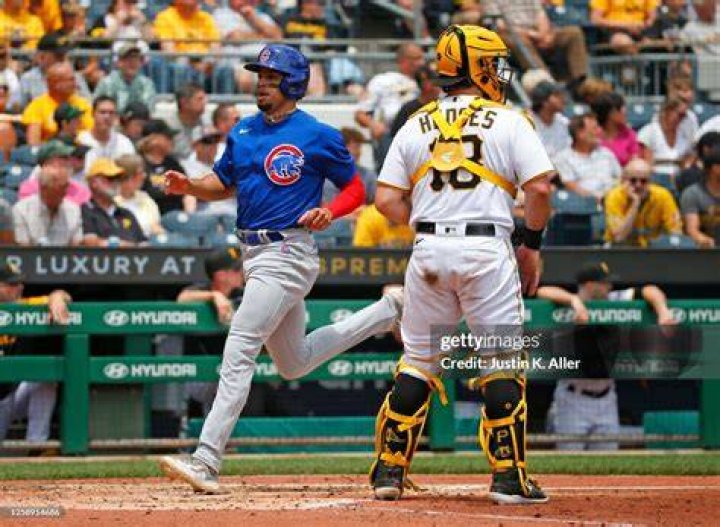 A Chicago Cubs v Pittsburgh Pirates baseball game. Photo / Sam Hurley
