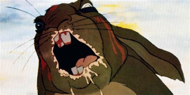 A rabbit Watership Down