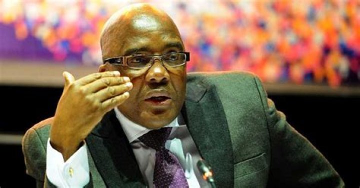 Aaron Motsoaledi introduced plans for an immigration overhaul