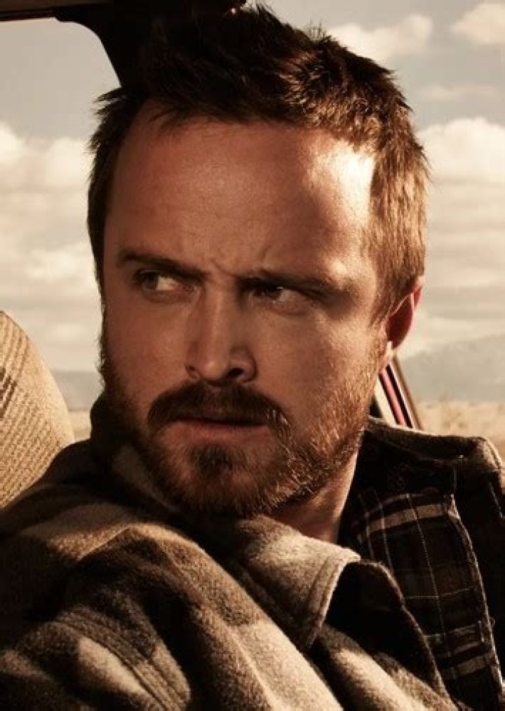 Aaron Paul Fan Casting