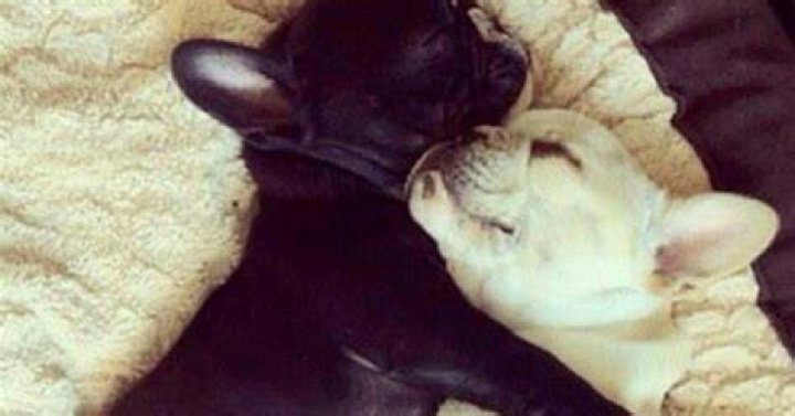 #AfterSex Selfies Are Apparently a New, NSFW Instagram Trend