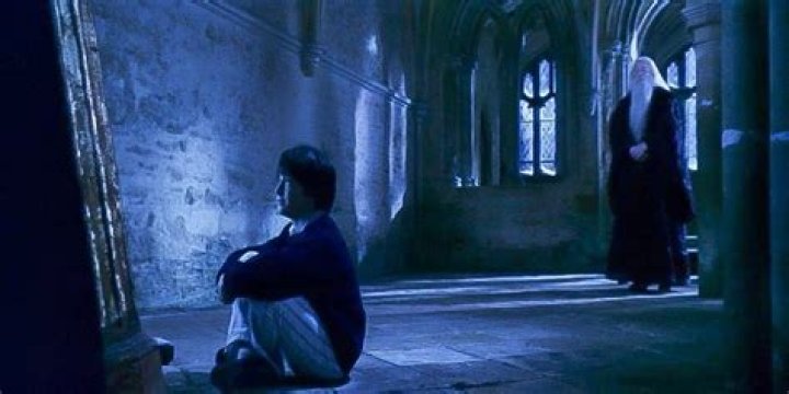 Albus Dumbledore Mirror of Erised