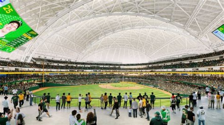 Alex Rodriguez Lights Up College Baseball by Appearing at a Ballpark Named After
Him in Miami