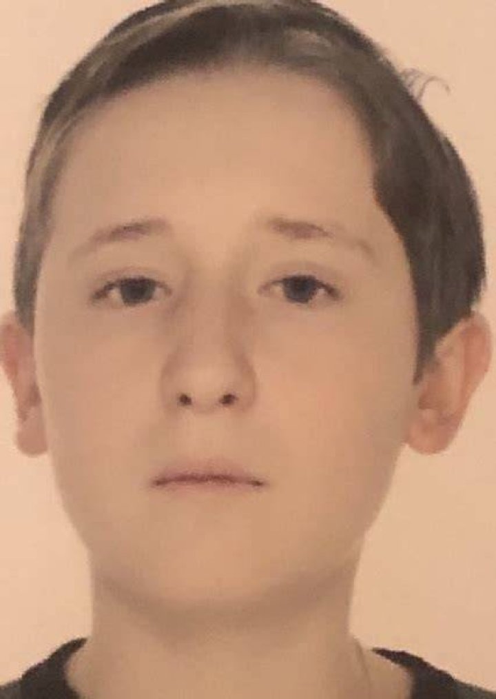 Alexander malinin Fan Casting