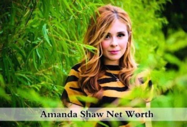 Amanda Shaw Net Worth: A Comprehensive Analysis