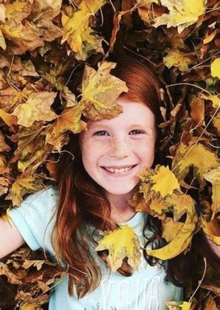 Ambree Orgill Fan Casting