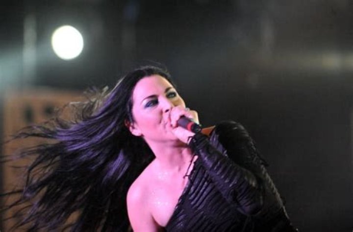 Amy Lee net worth