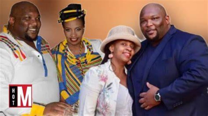 Andile Ramaphosa age Andile Ramaphosa age