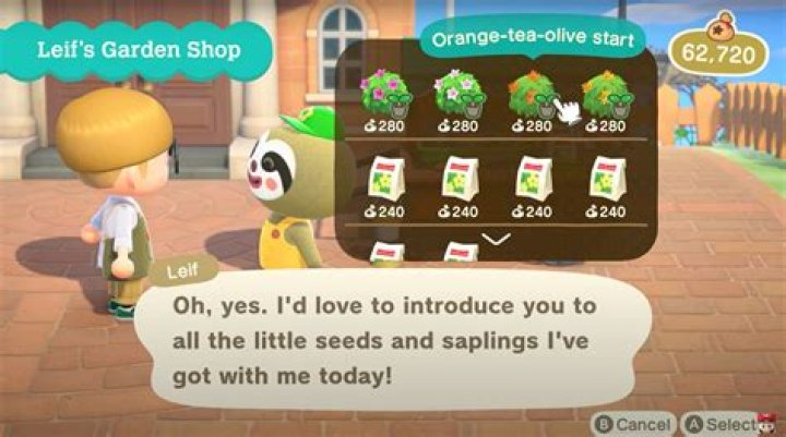 Animal Crossing 2.0 Leif Shop