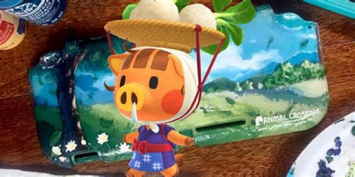 Animal Crossing Daisy Mae Nintendo Switch