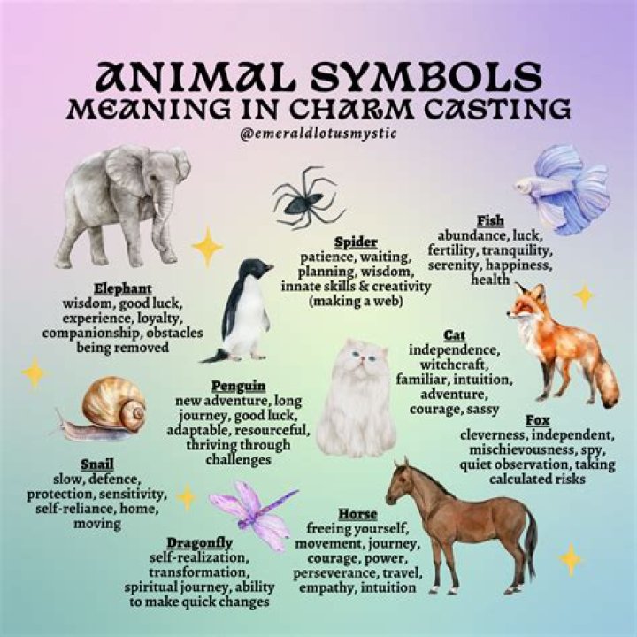 Animal Meanings, Animal Symbolism, Fairy Dragon, Fantasy Dragon, Dragon