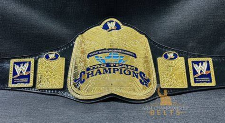 APA WWE Tag Team Champions