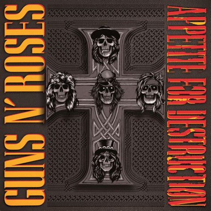 Appetite for Destruction: The Guns N' Roses Story