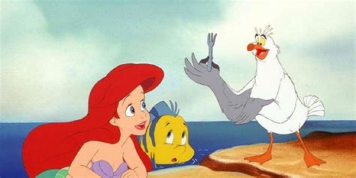 Ariel Meets With Scuttle In The Little Mermaid
