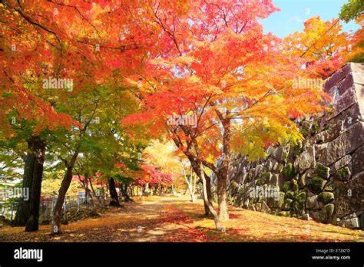 Autumn at Morioka Castle, in Iwate prefecture, Japan. Photo / 663highland, Creative Commons