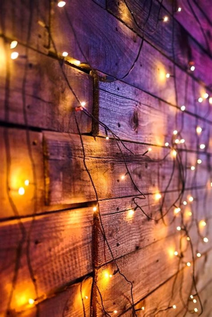Autumn Lights Picture Autumn Levine