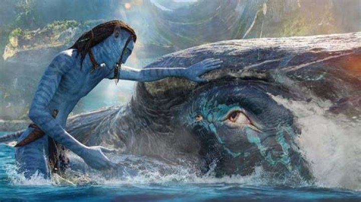 Avatar way of water Loak Jake neytiri