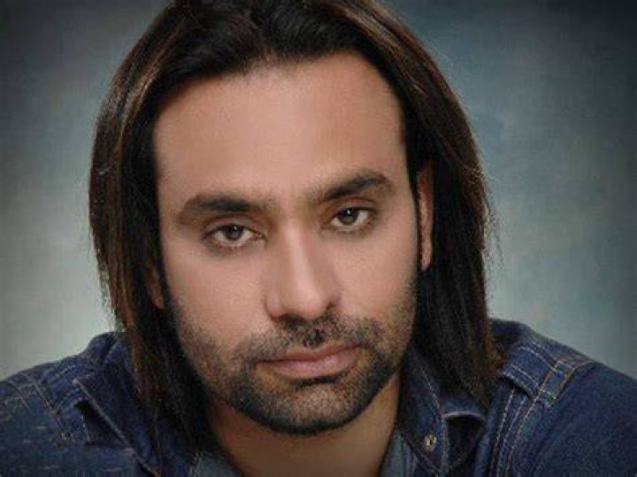 Babbu Maan Image