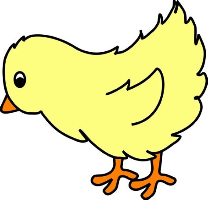 Baby chick clipart Clipartix