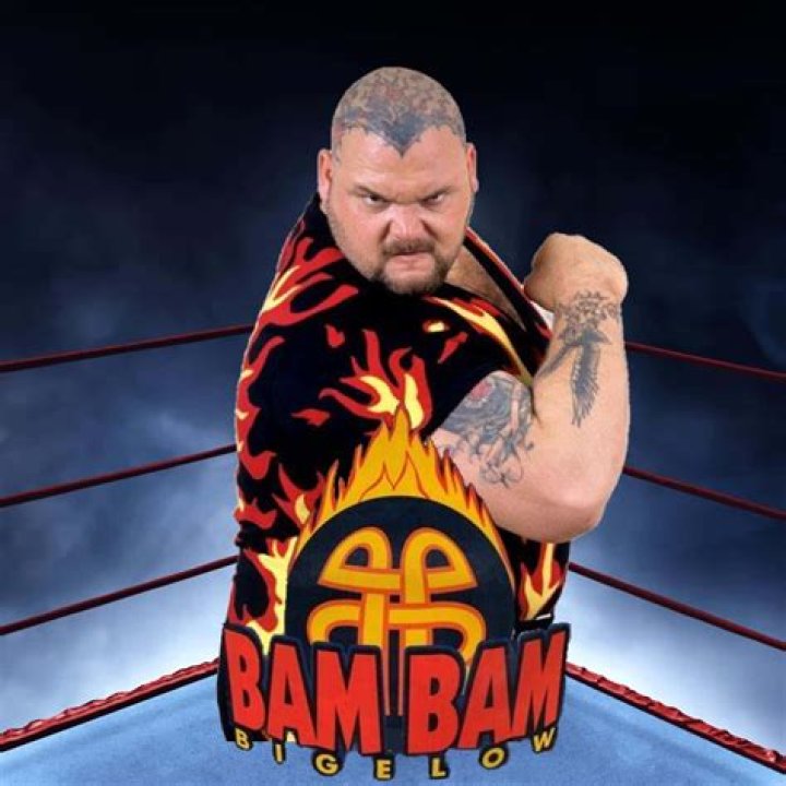 BAM BAM BIGELOW IGN Boards