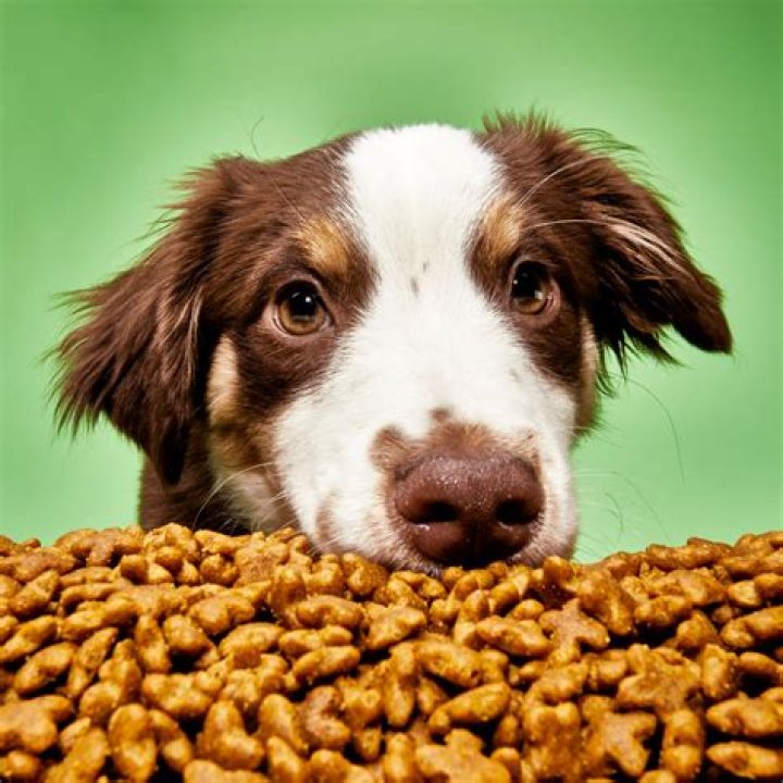Baron Corbin in dog food on Smackdown