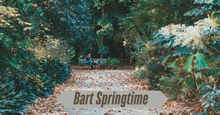 Bart Springtime: The Ultimate Guide To Embracing The Season Of Renewal