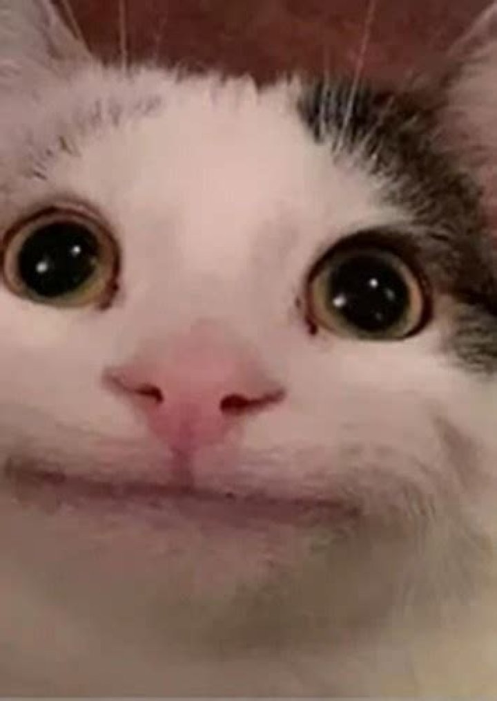 Beluga (YouTuber) Fan Casting