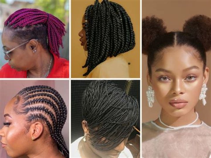 best Afro braids for black women best Afro braids for black women