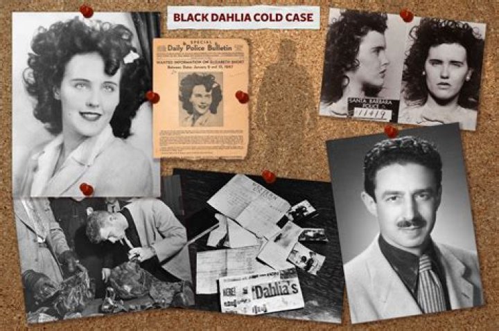 Black Dahlia 