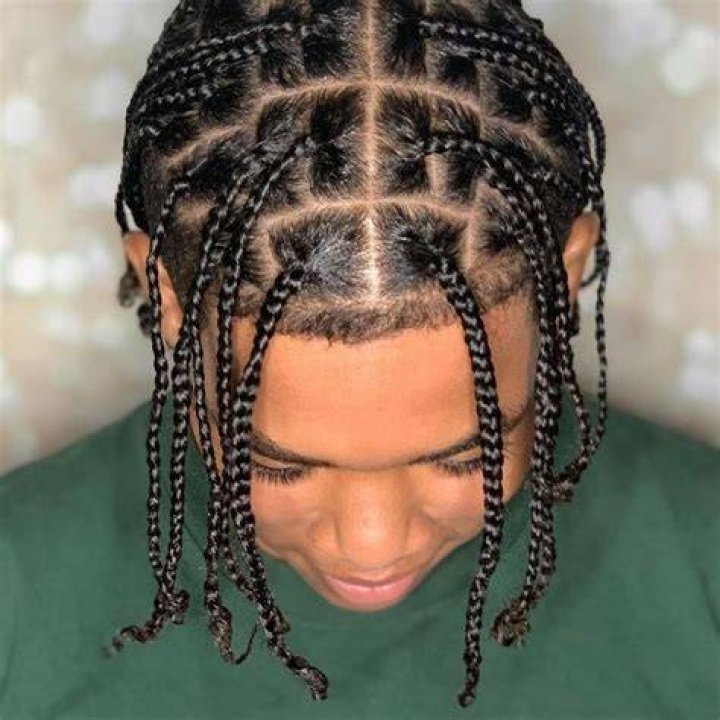 Box Braids For Men 22 Ways To Wear Them In 2021
