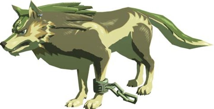 Breath Of The Wild Wolf Link Day Overlook