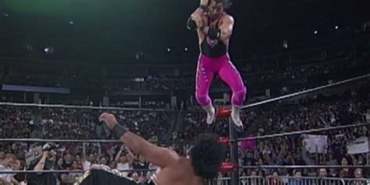 Bret Hart - Superplex