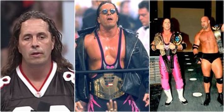 Bret Hart in WCW