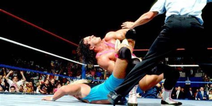 Bret Hart v Mr Perfect SummerSlam 1991