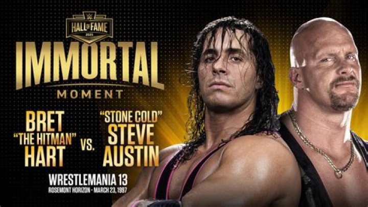 Bret Hart v Stone Cold Survivor Series 1996 Cropped