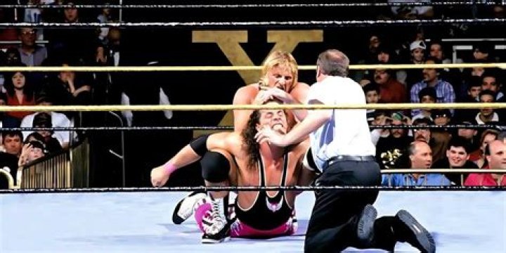 Bret Hart vs Owen Hart in a WWE steel cage match.